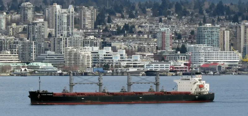 OCEAN PEARL Bulk Carrier IMO 9401829 photo 6