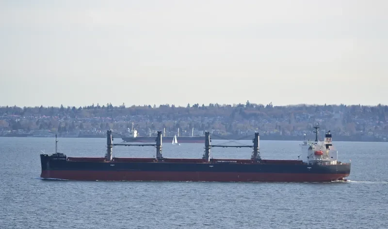OCEAN PEARL Bulk Carrier IMO 9401829 photo 7