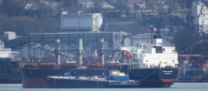OCEAN PEARL Bulk Carrier IMO 9401829 photo 8