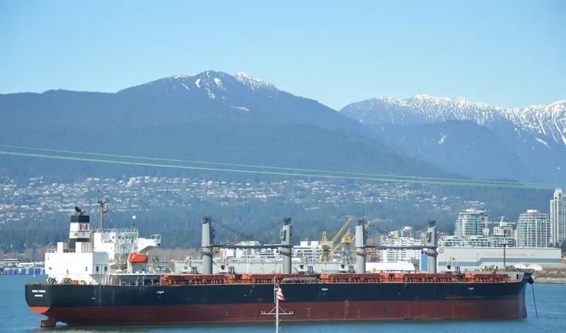 OCEAN PEARL Bulk Carrier IMO 9401829 photo 9