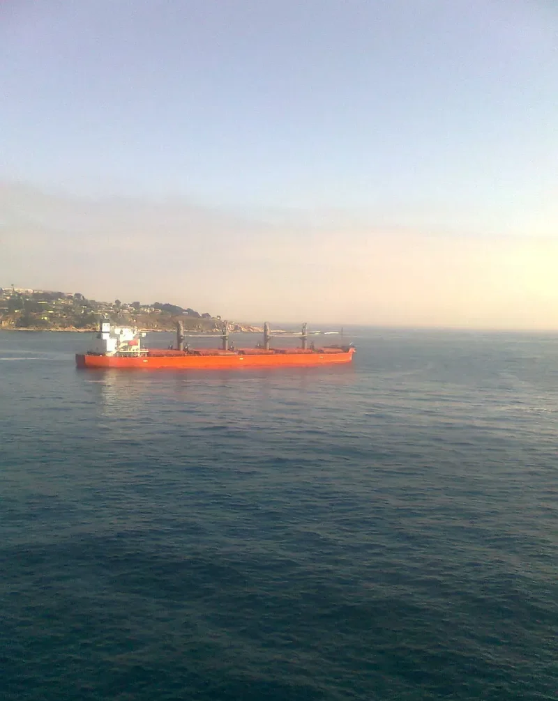 OCEAN PEARL Bulk Carrier IMO 9401829 photo 10