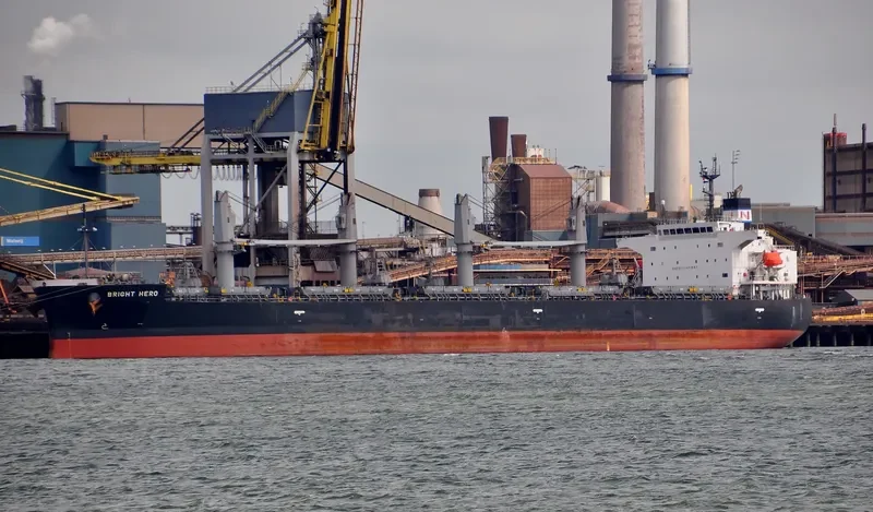RIGHT HERO Bulk Carrier IMO 9401831 photo 6