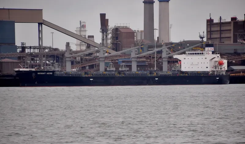 RIGHT HERO Bulk Carrier IMO 9401831 photo 8