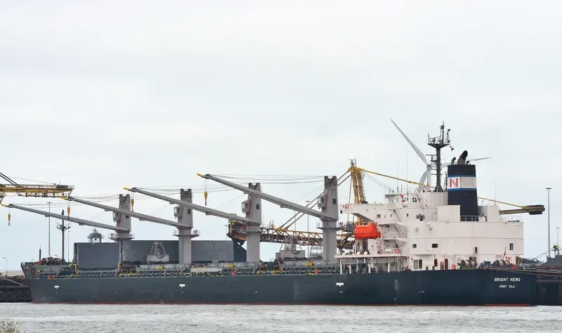RIGHT HERO Bulk Carrier IMO 9401831 photo 9