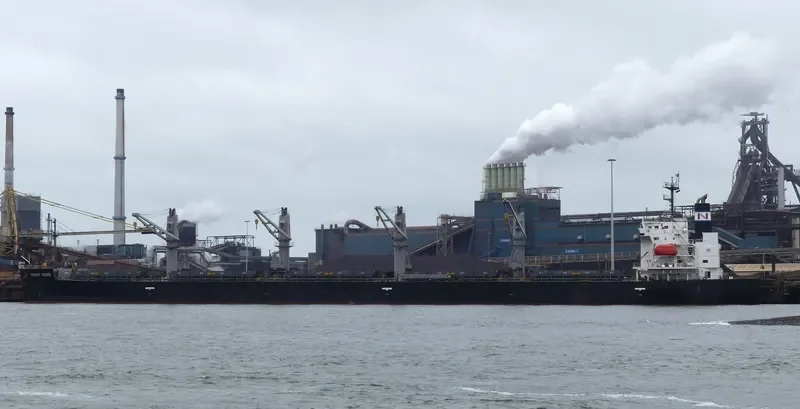 RIGHT HERO Bulk Carrier IMO 9401831 photo 10