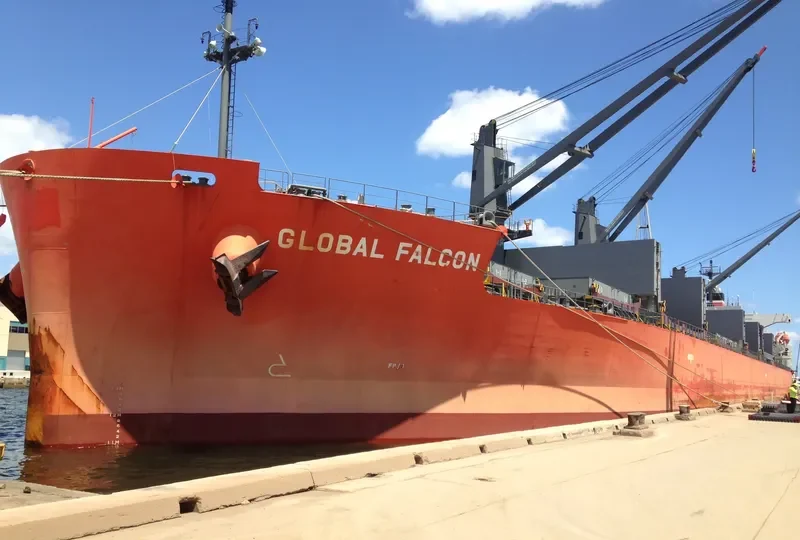 GLOBAL FALCON General Cargo IMO 9401843 photo 6