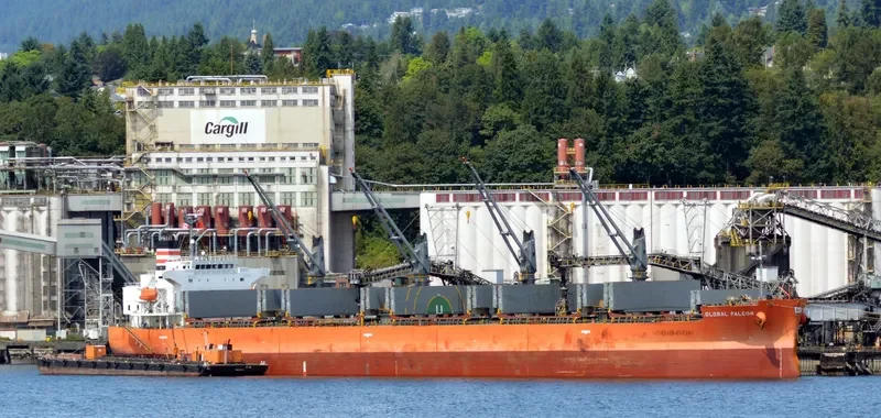 GLOBAL FALCON General Cargo IMO 9401843 photo 9