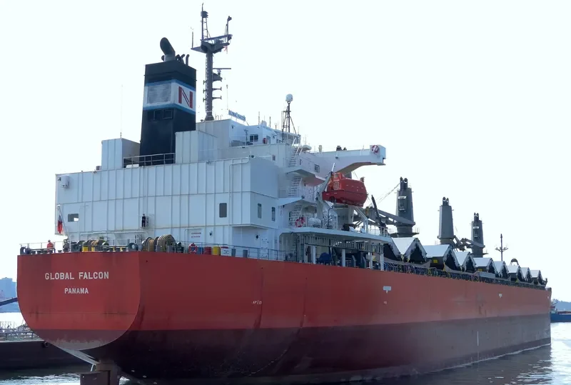 GLOBAL FALCON General Cargo IMO 9401843 photo 10