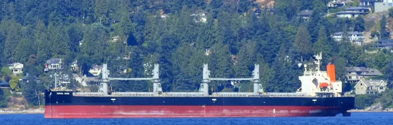 CYGNUS Bulk Carrier IMO 9401855 photo 2