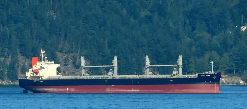 CYGNUS Bulk Carrier IMO 9401855 photo 3