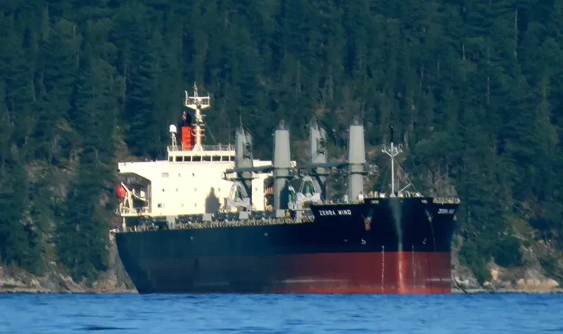 CYGNUS Bulk Carrier IMO 9401855 photo 4
