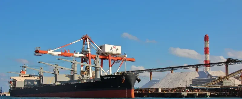 CYGNUS Bulk Carrier IMO 9401855 photo 6