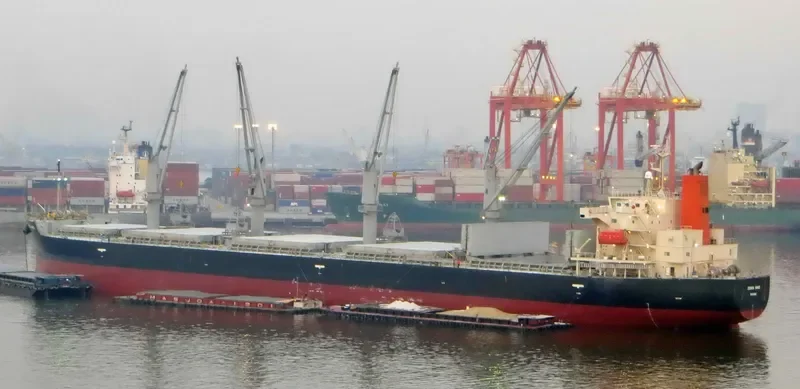 CYGNUS Bulk Carrier IMO 9401855 photo 8