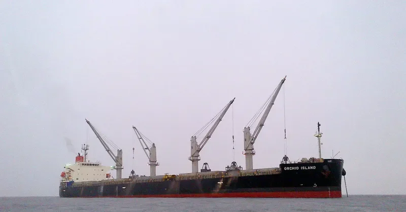 ORCHID ISLAND Bulk Carrier IMO 9401867