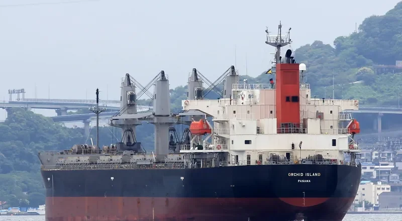 ORCHID ISLAND Bulk Carrier IMO 9401867 photo 2