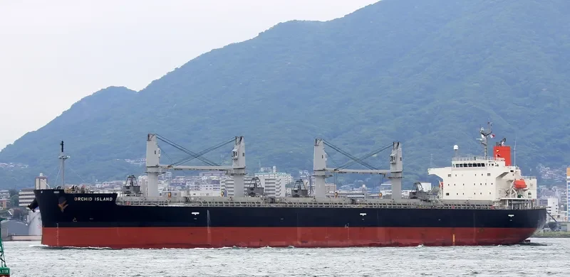 ORCHID ISLAND Bulk Carrier IMO 9401867 photo 5