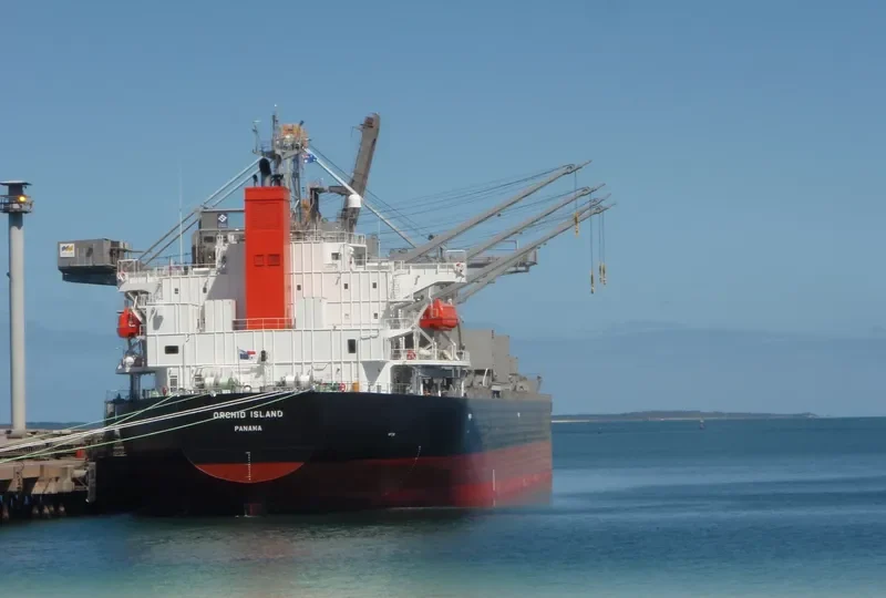 ORCHID ISLAND Bulk Carrier IMO 9401867 photo 7