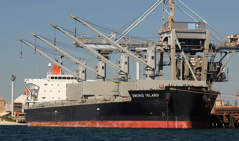 ORCHID ISLAND Bulk Carrier IMO 9401867 photo 8