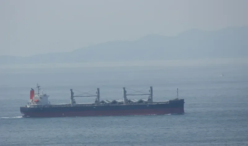 ORCHID ISLAND Bulk Carrier IMO 9401867 photo 10