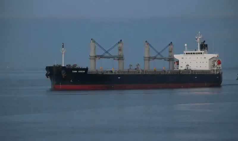TAWA ARROW Bulk Carrier IMO 9401879