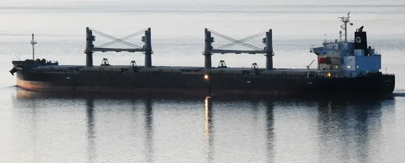 TAWA ARROW Bulk Carrier IMO 9401879 photo 2