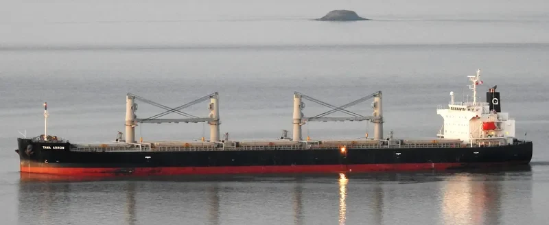 TAWA ARROW Bulk Carrier IMO 9401879 photo 3