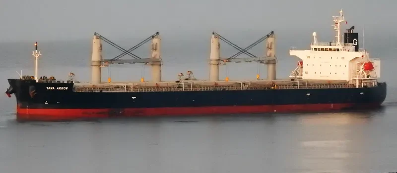 TAWA ARROW Bulk Carrier IMO 9401879 photo 4