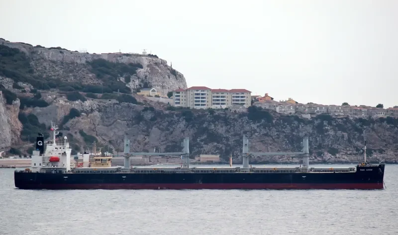 TAWA ARROW Bulk Carrier IMO 9401879 photo 5