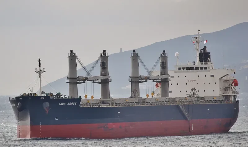 TAWA ARROW Bulk Carrier IMO 9401879 photo 6