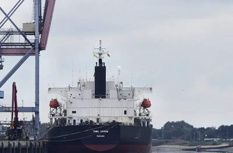 TAWA ARROW Bulk Carrier IMO 9401879 photo 7