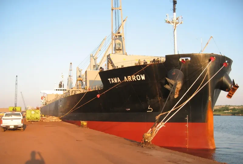 TAWA ARROW Bulk Carrier IMO 9401879 photo 9