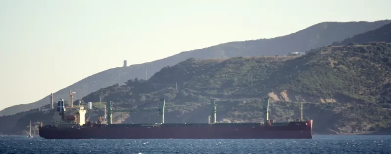 YANNIS Bulk Carrier IMO 9401910 photo 2