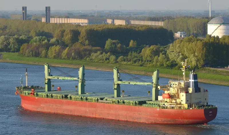 SOZON Bulk Carrier IMO 9401922