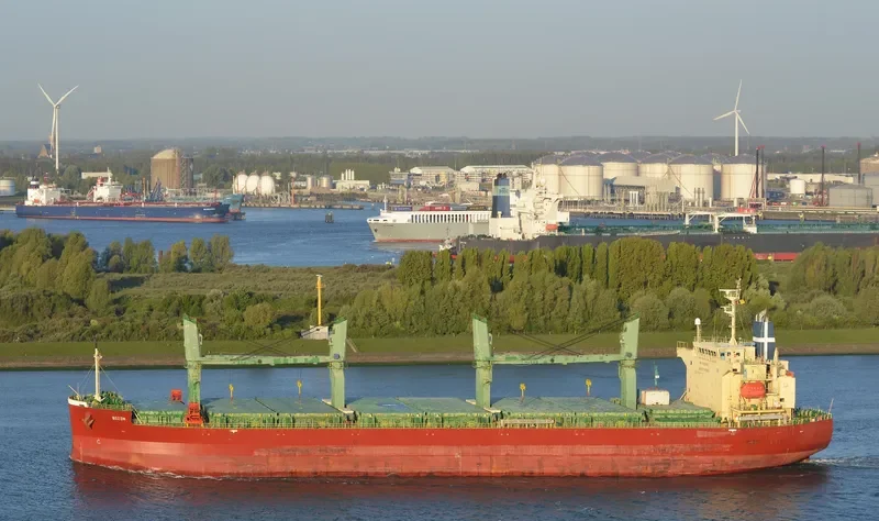 SOZON Bulk Carrier IMO 9401922 photo 2