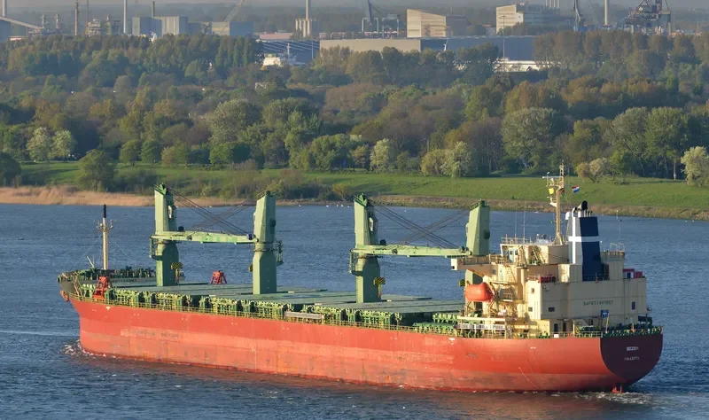 SOZON Bulk Carrier IMO 9401922 photo 3