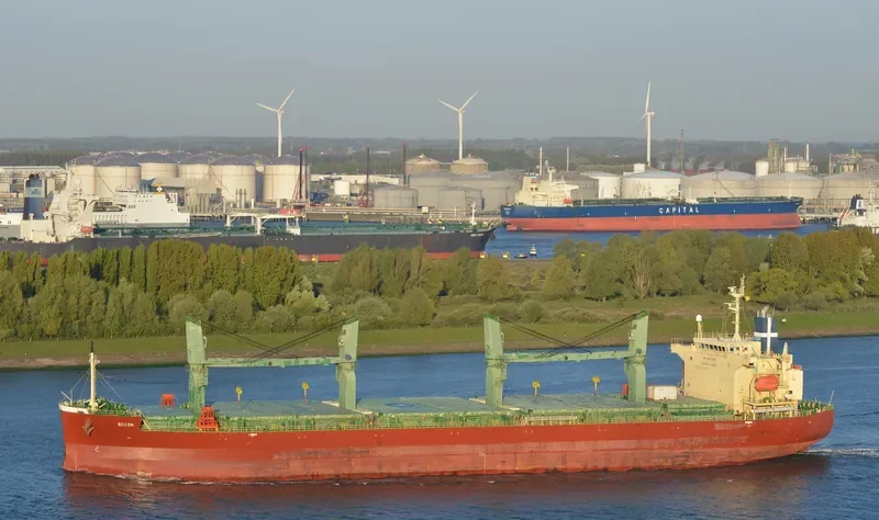 SOZON Bulk Carrier IMO 9401922 photo 5