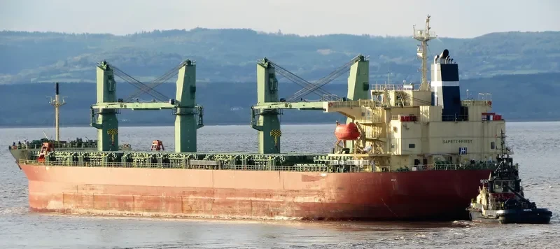 SOZON Bulk Carrier IMO 9401922 photo 6