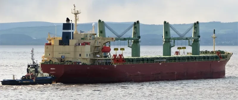 SOZON Bulk Carrier IMO 9401922 photo 7