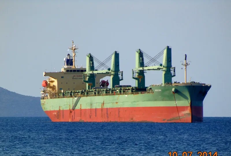 SOZON Bulk Carrier IMO 9401922 photo 10