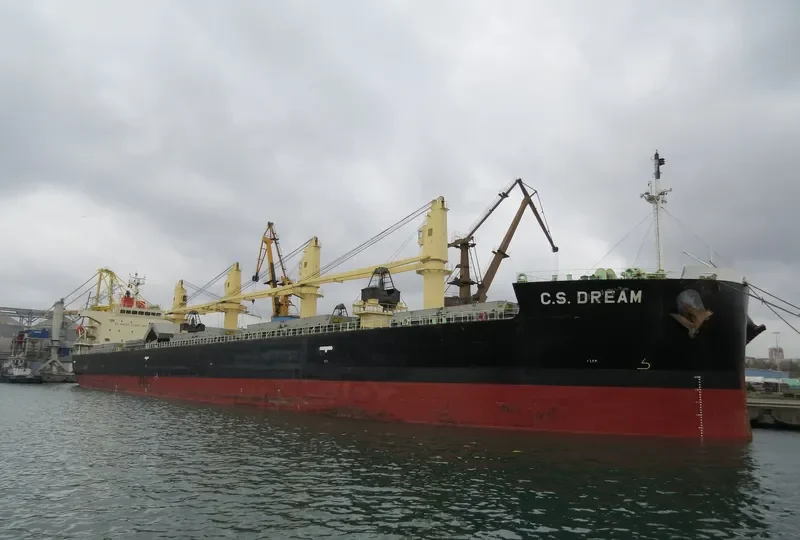 SSI ERDOGAN BEY Bulk Carrier IMO 9401946 photo 2