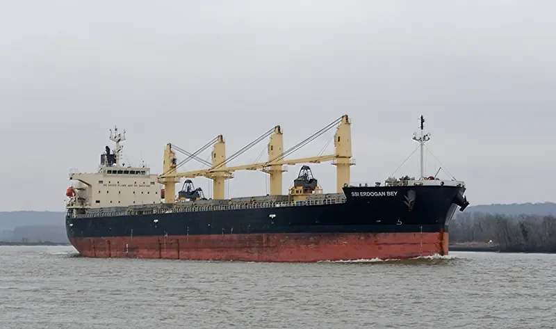 SSI ERDOGAN BEY Bulk Carrier IMO 9401946 photo 6