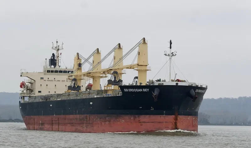 SSI ERDOGAN BEY Bulk Carrier IMO 9401946 photo 8