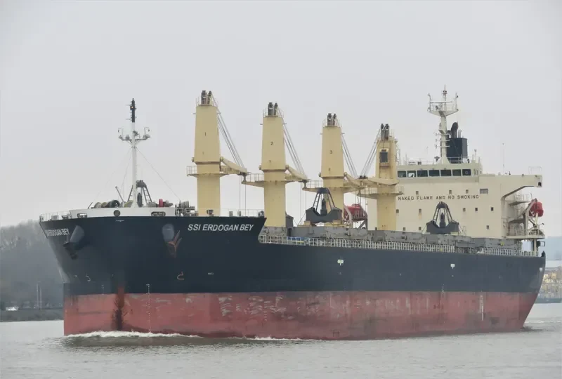 SSI ERDOGAN BEY Bulk Carrier IMO 9401946 photo 9