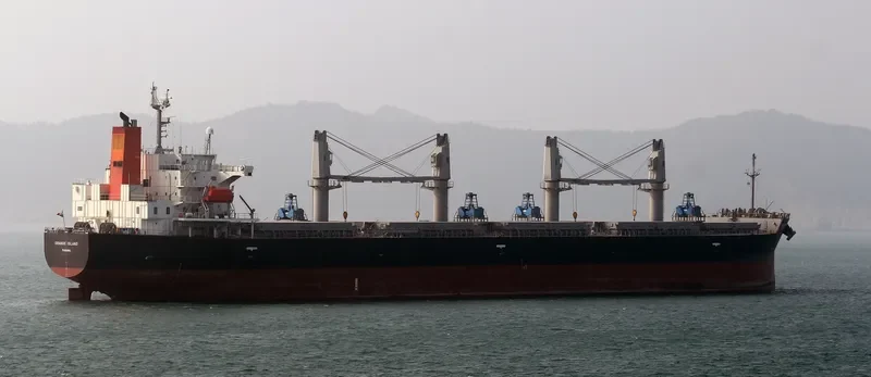 ORANGE ISLAND Bulk Carrier IMO 9401958 photo 4