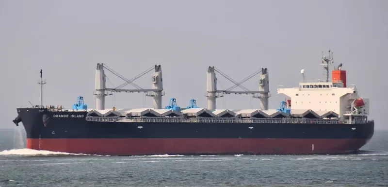 ORANGE ISLAND Bulk Carrier IMO 9401958 photo 6