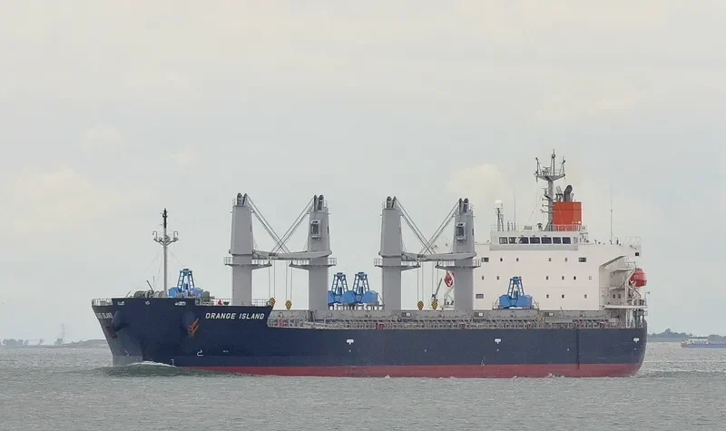 ORANGE ISLAND Bulk Carrier IMO 9401958 photo 8