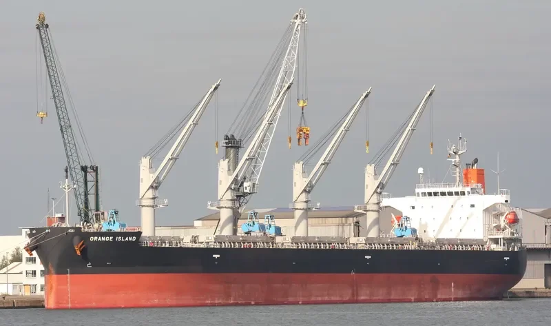 ORANGE ISLAND Bulk Carrier IMO 9401958 photo 10