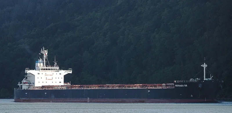 ASTRAEA SB Bulk Carrier IMO 9401960 photo 2