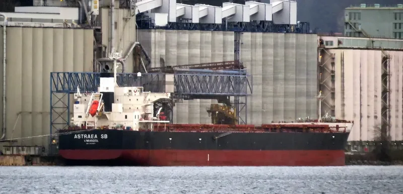 ASTRAEA SB Bulk Carrier IMO 9401960 photo 4
