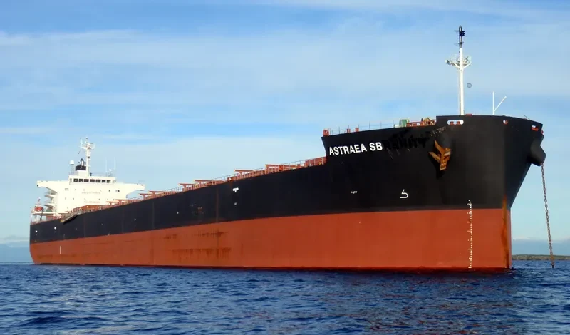 ASTRAEA SB Bulk Carrier IMO 9401960 photo 6